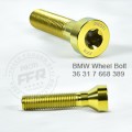 Proti M10 Rear Wheel Bolt Kit for the BMW R nineT '13-26, R Ninet /5 '20-26 & etc. Proti M10 Rear Wheel Bolt Kit for the BMW R nineT '13-26, R Ninet /5 '20-26 & etc.